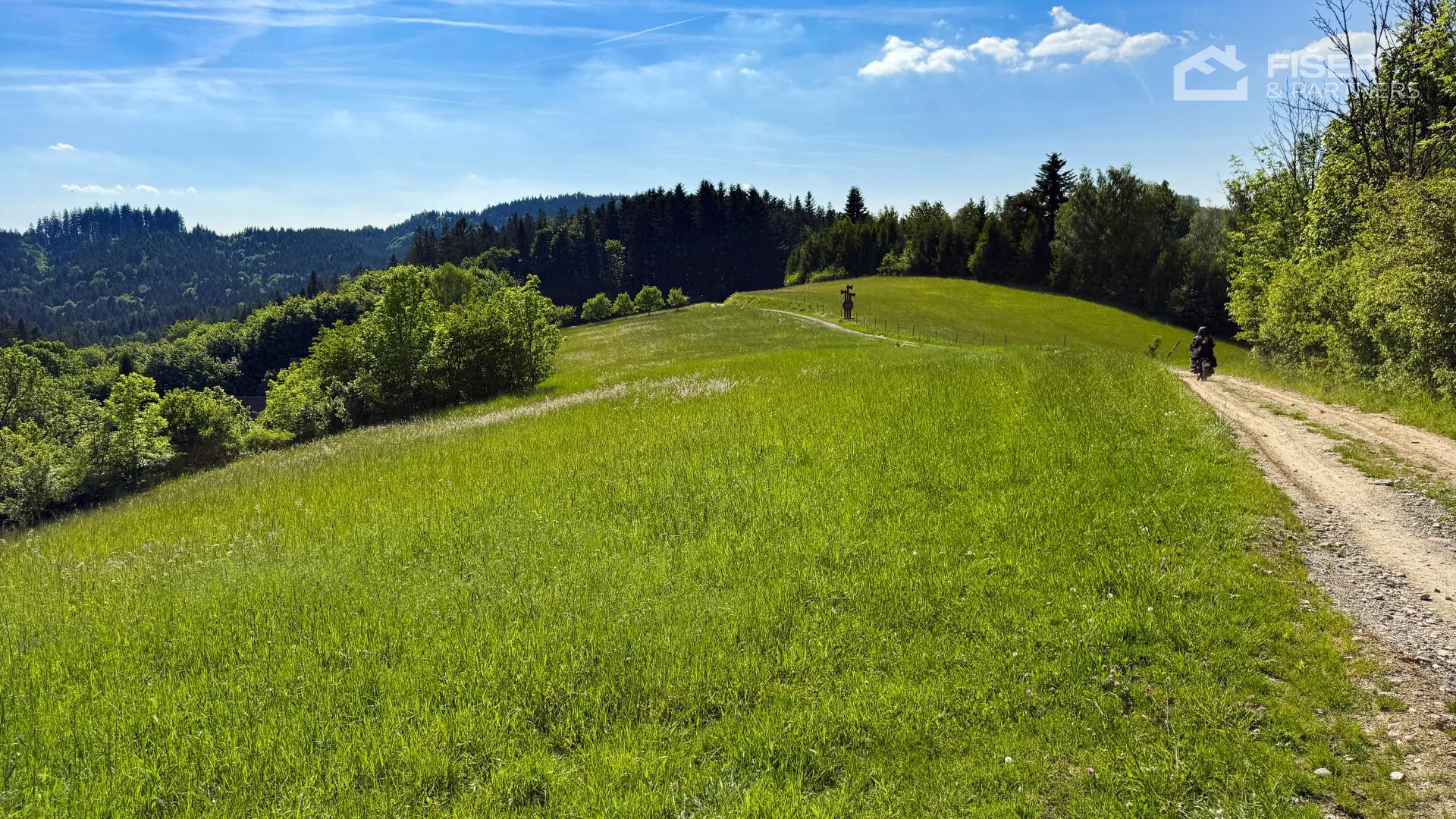 Okolní krajina Liptálu – louky, lesy a polní cesta