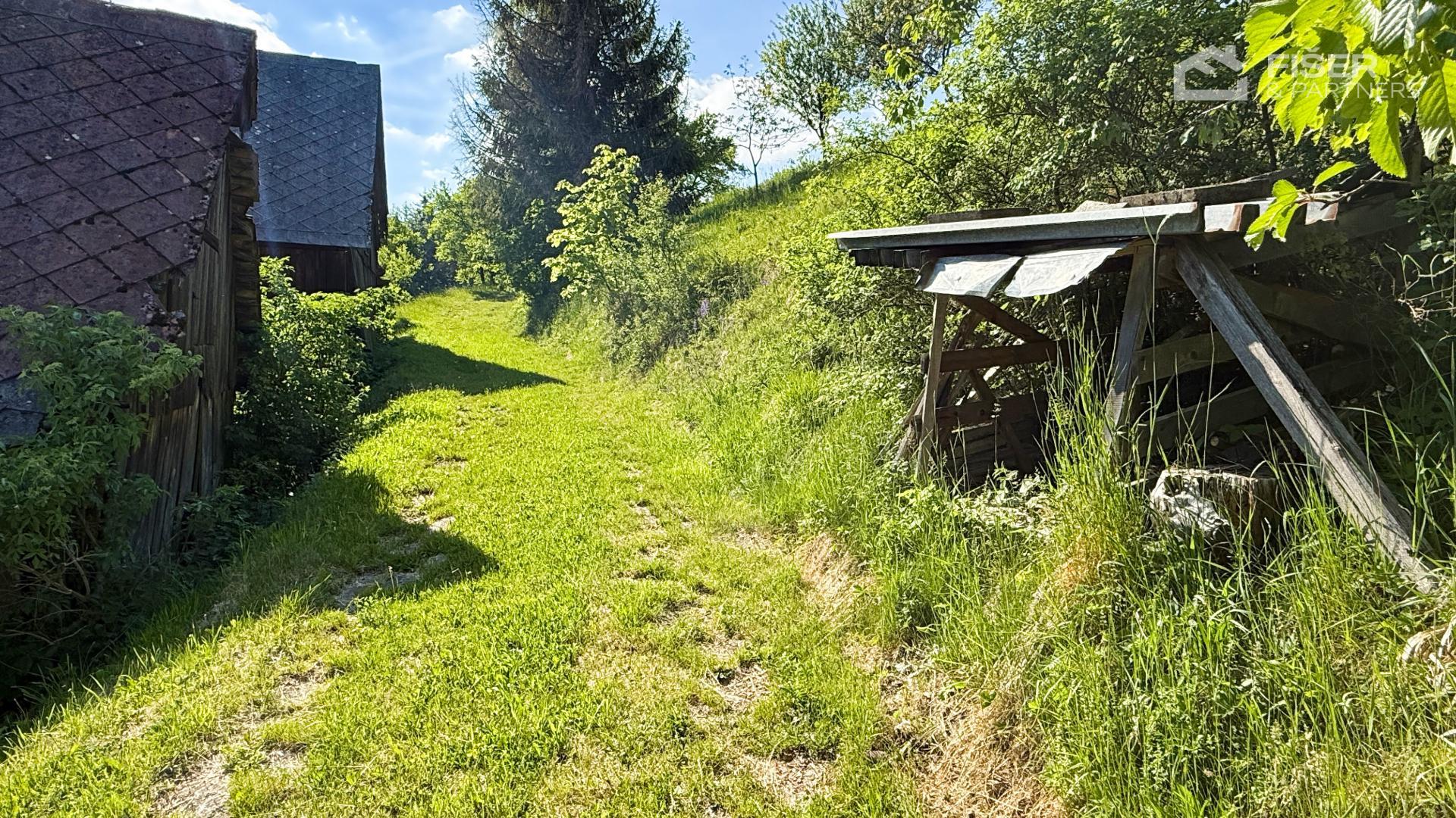 Zázemí a horní část pozemku