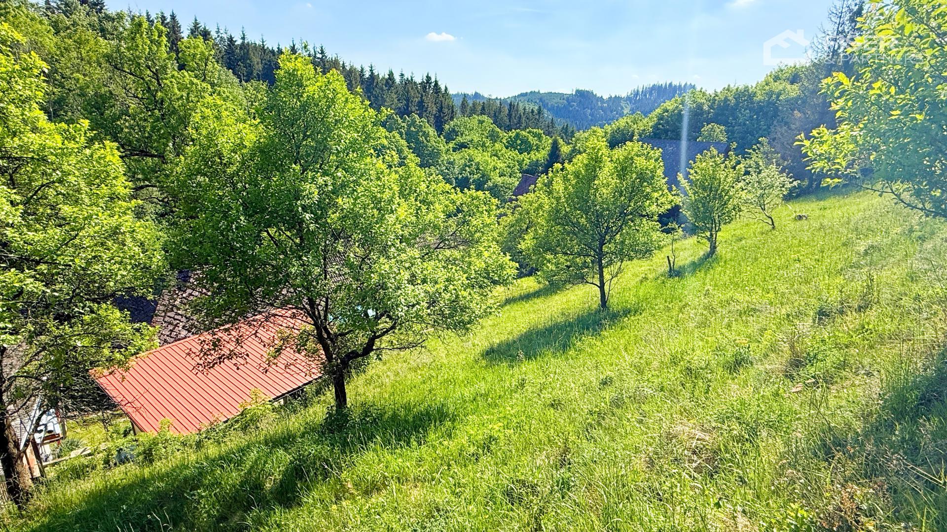 Travnatý svažitý pozemek s ovocnými stromy a výhledem na les