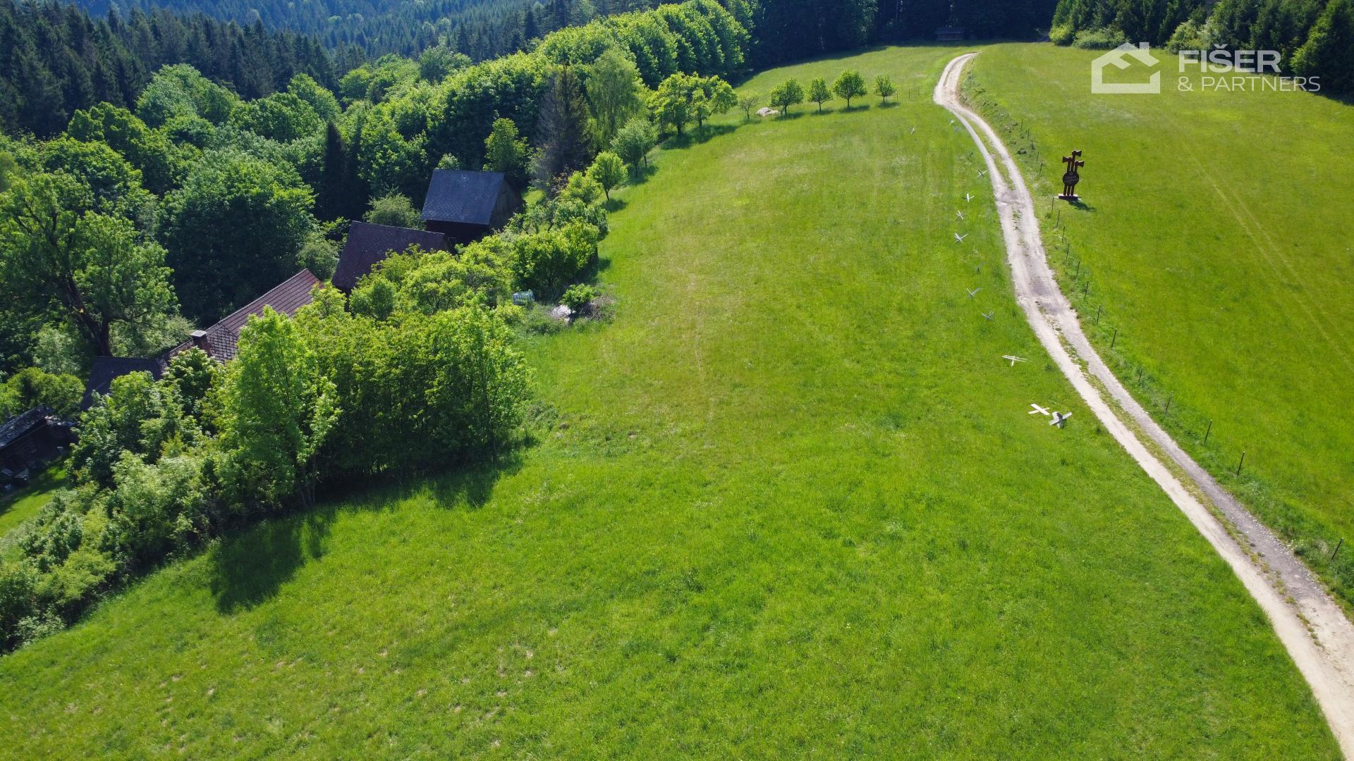 Travnatý pozemek s polní cestou a výhledem na les